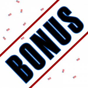 Bonus Depreciation