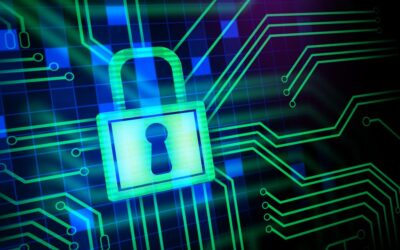 Information Security vs. Cybersecurity: What Businesses Should Know