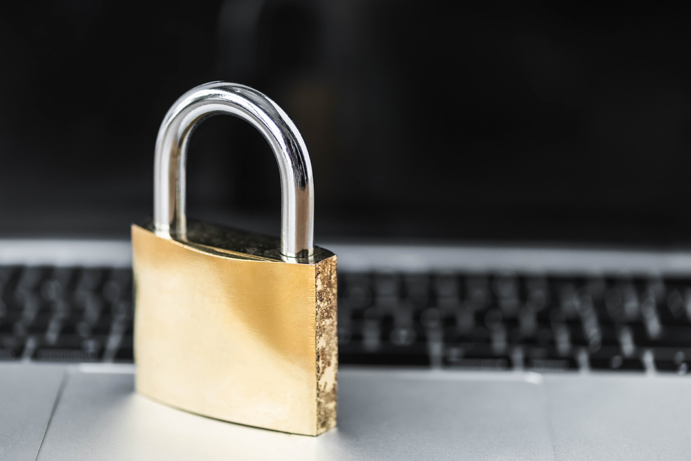 What is the Difference Between Data Privacy and Data Security?