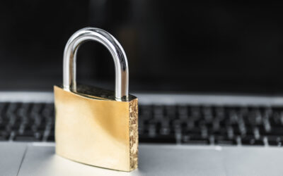 What is the Difference Between Data Privacy and Data Security?