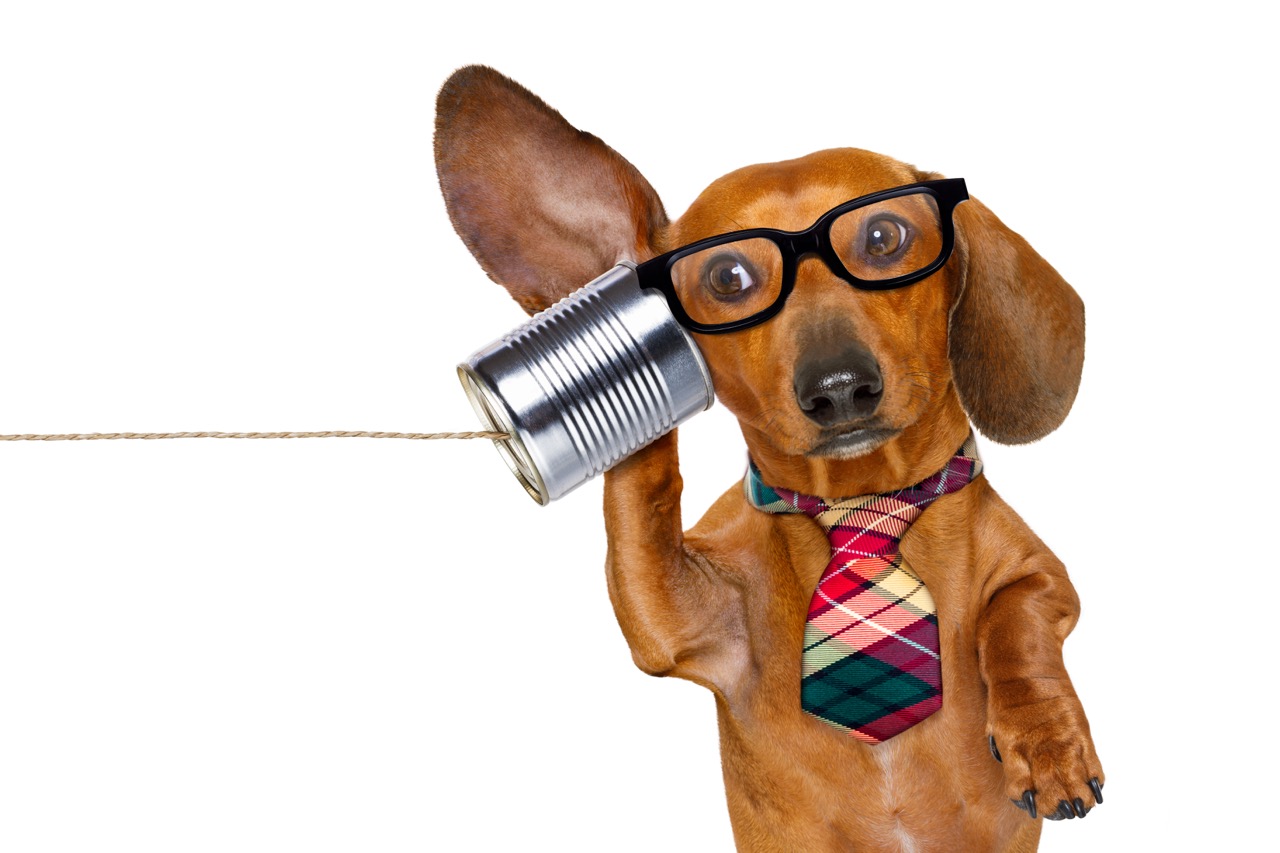 Dog wearing glasses and tie listening through a tin can phone, representing hosted phone service.