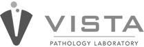 Vista Logo